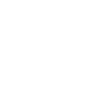 PMSP02